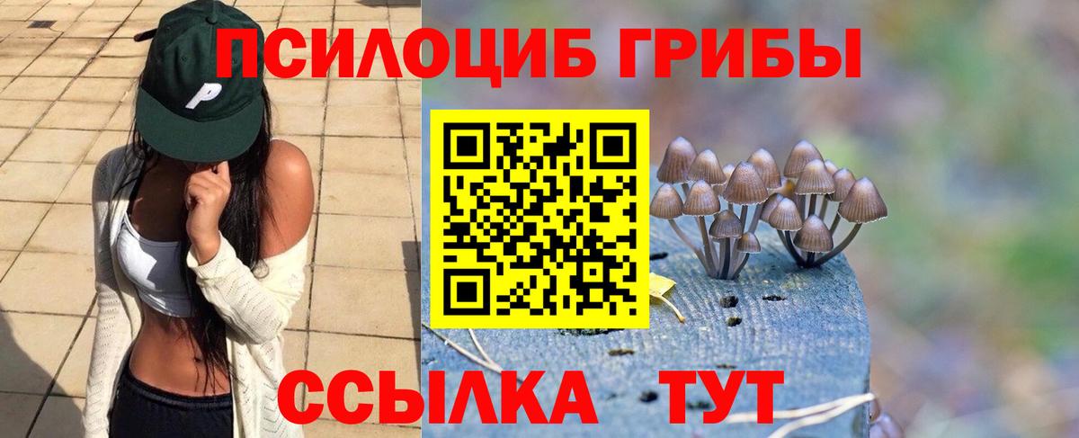 Галлюциногенные грибы ЛСД Сыктывкар