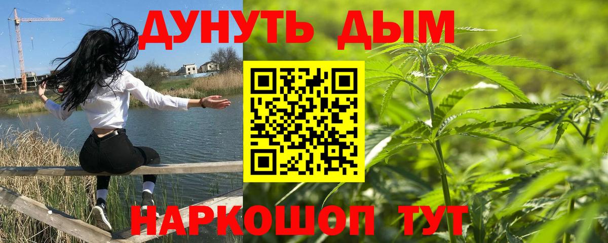 Конопля конопля Сыктывкар
