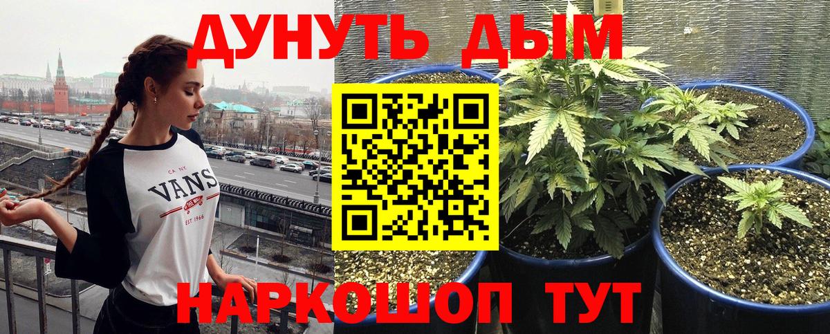 Конопля план  Шишки марихуана Bruce Banner  Сыктывкар  Конопля Amnesia  Вход с VPN 